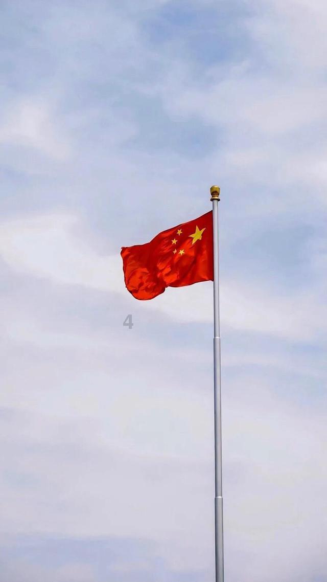 拯救毛茸茸男人